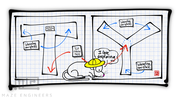 Figure 1. The T-maze (left) and the Y-maze (right). Both mazes are used to investigate spatial memory by taking advantage of the natural inclination of mice to explore new regions of their environment. Note, the dotted circle in the Y-maze denotes the area the mice must return to before each choice, not guillotine doors that are present in the T-maze.