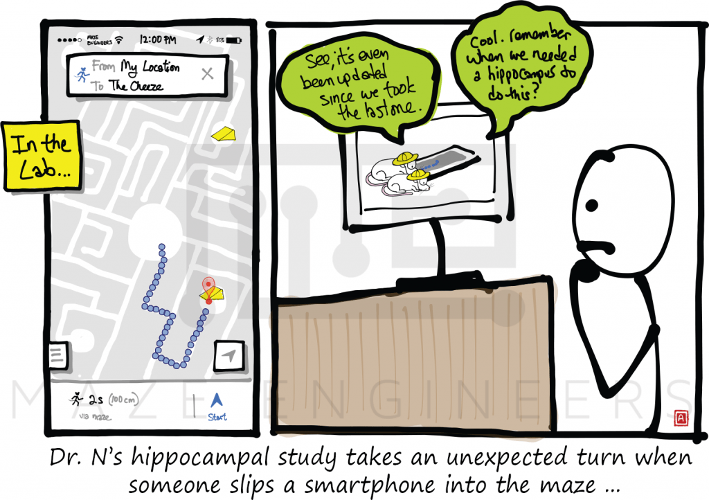hippocampus, learning, navigation, maze