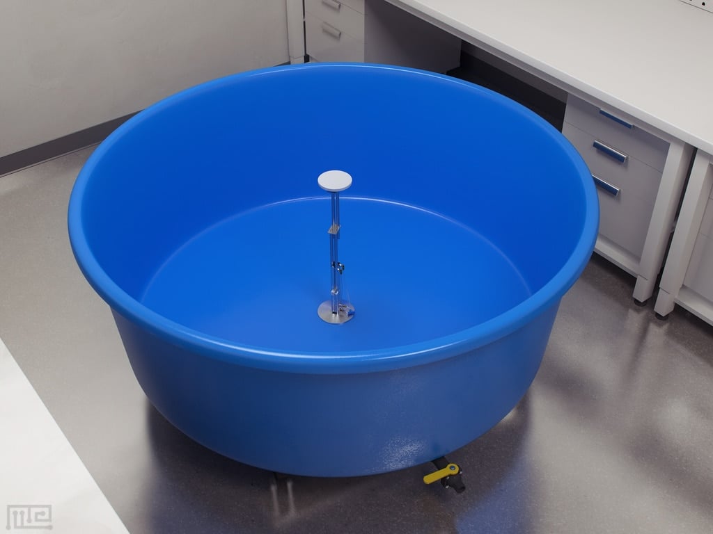 Morris Water Maze is a widely used behavioral task in neuroscience for studying spatial learning and memory