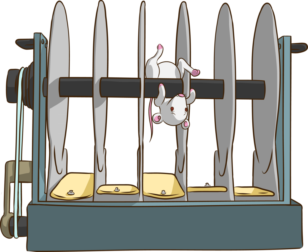 Cartwheeling - Rotarod Test for mice
