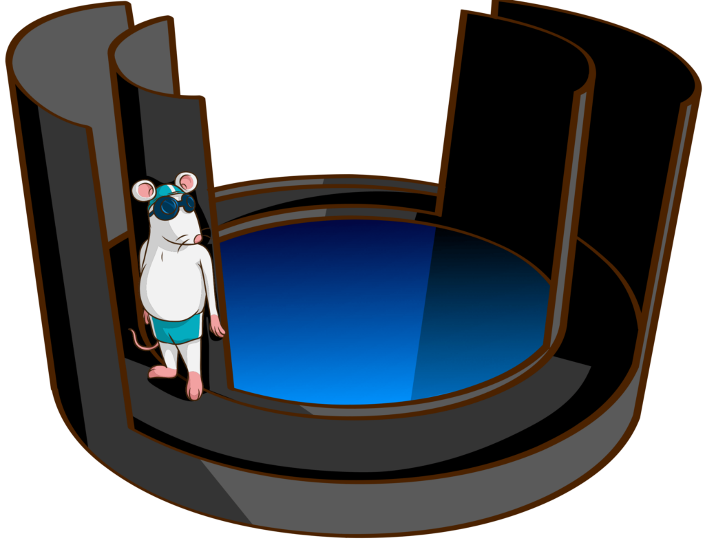 Water Associated Zero Maze