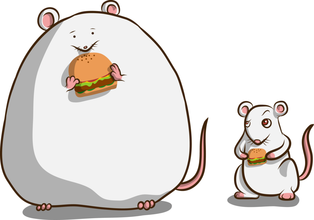 ob/ob mice