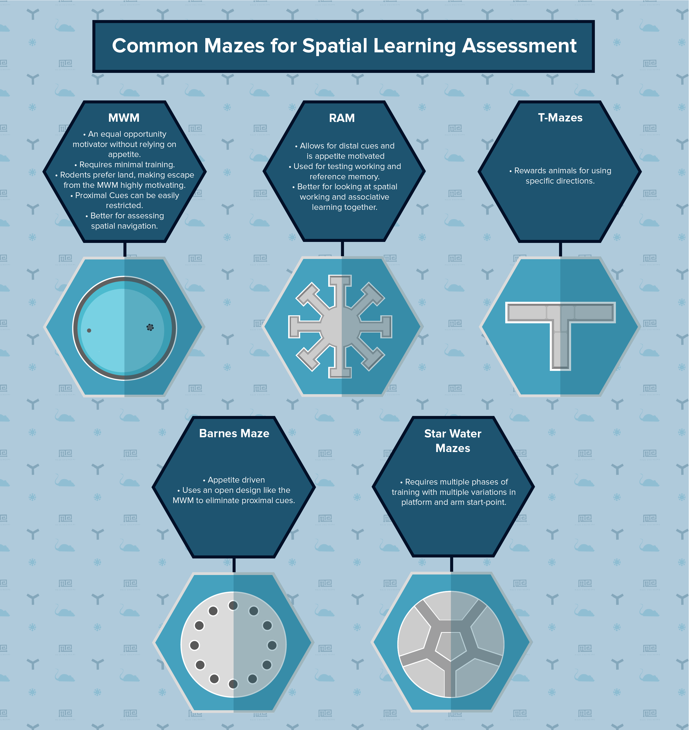 common mazes used in spatial learning