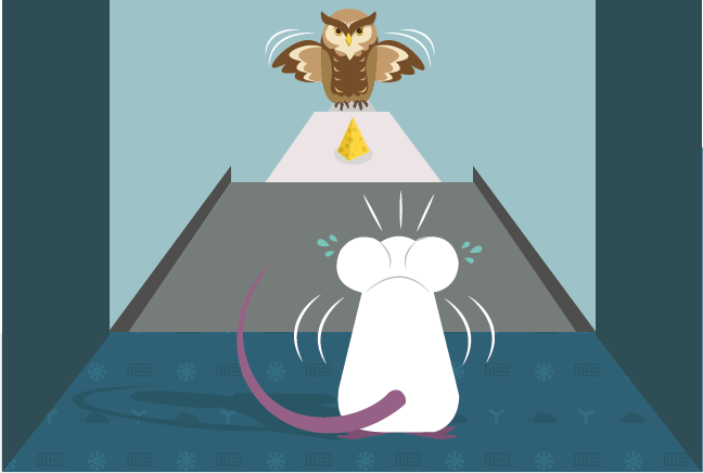 Animal Models of Anxiety