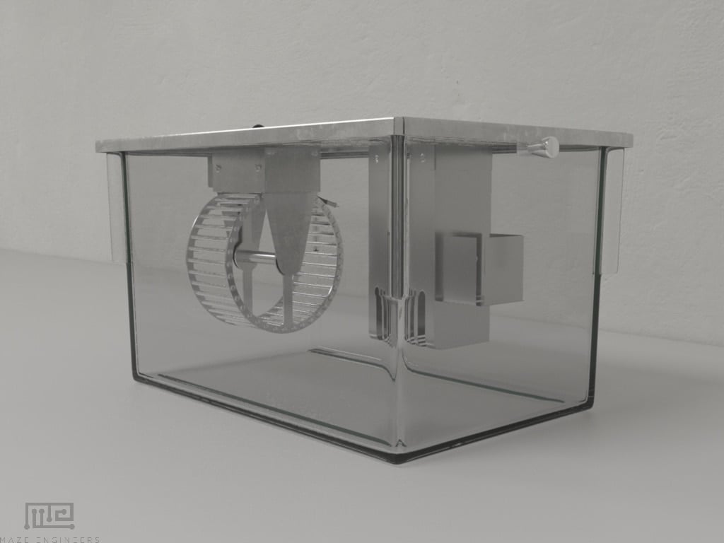 Mazeengineers Activity wheels can be used in neuroscience to assess the activity of the circadian system