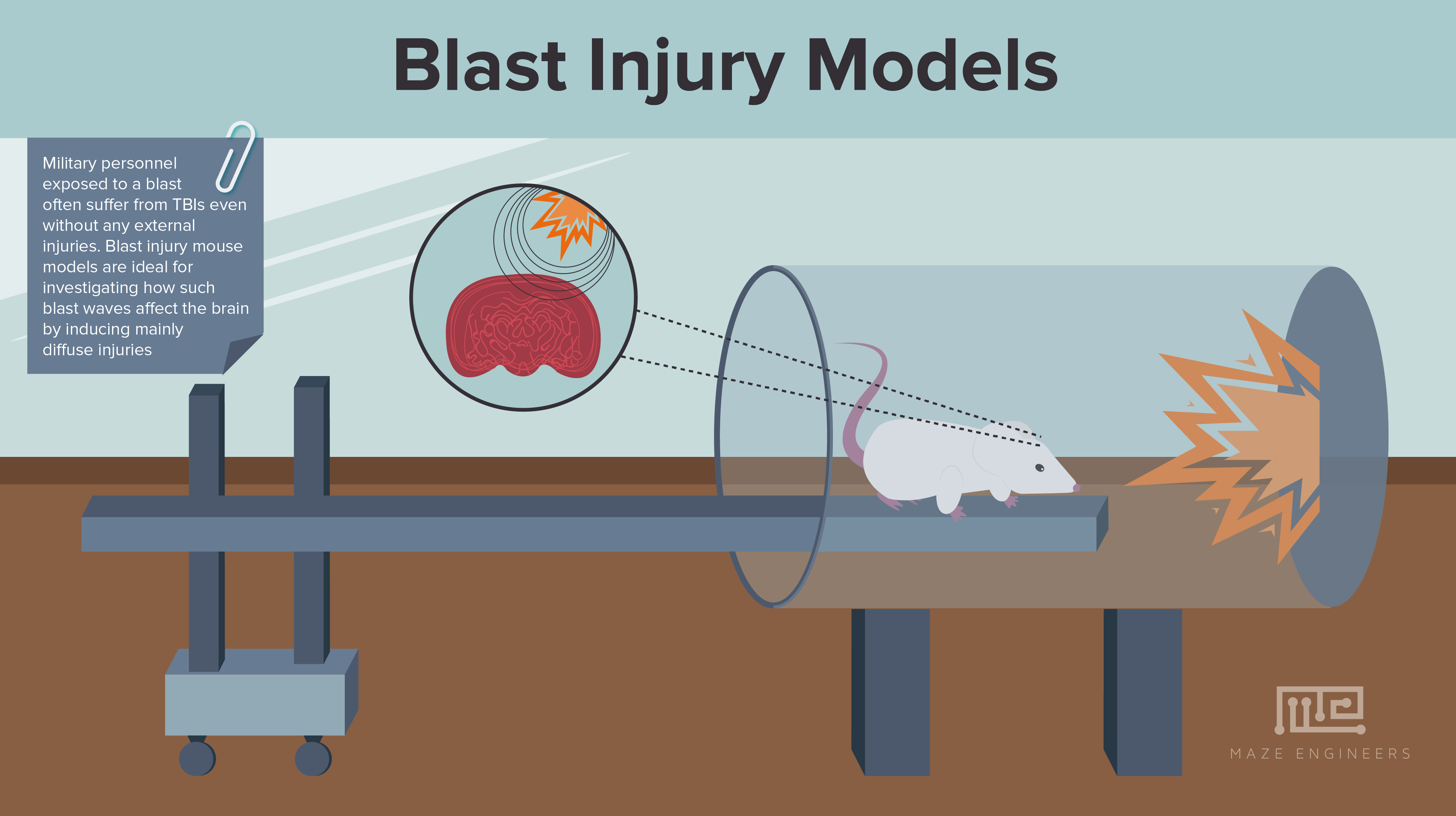 Image of animal models of Blast Traumatic Brain Injury