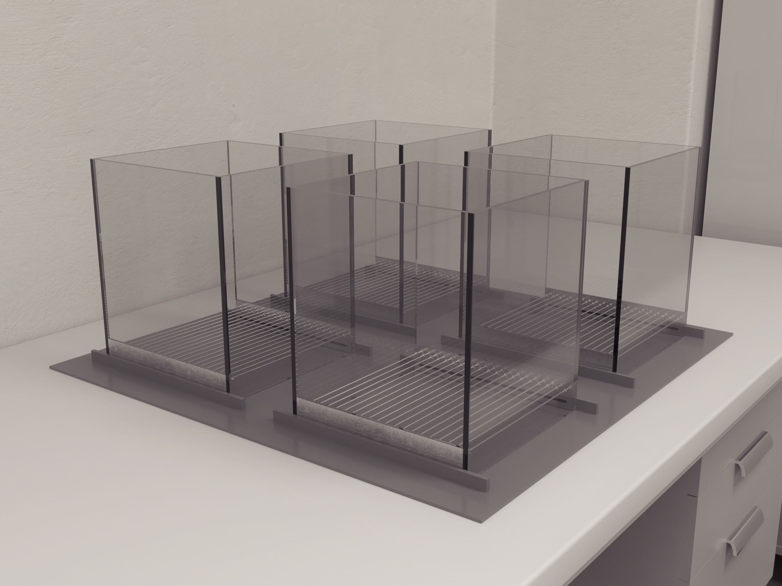 The parallel rod floor test is a model of ataxia, originally developed from the grid test