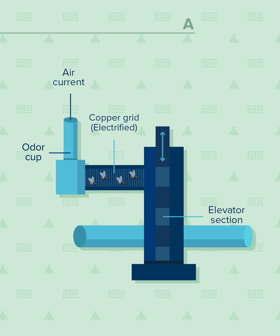 2 Odor chambers T maze choice area Copper testing tube Vacuum lines Secure clamp