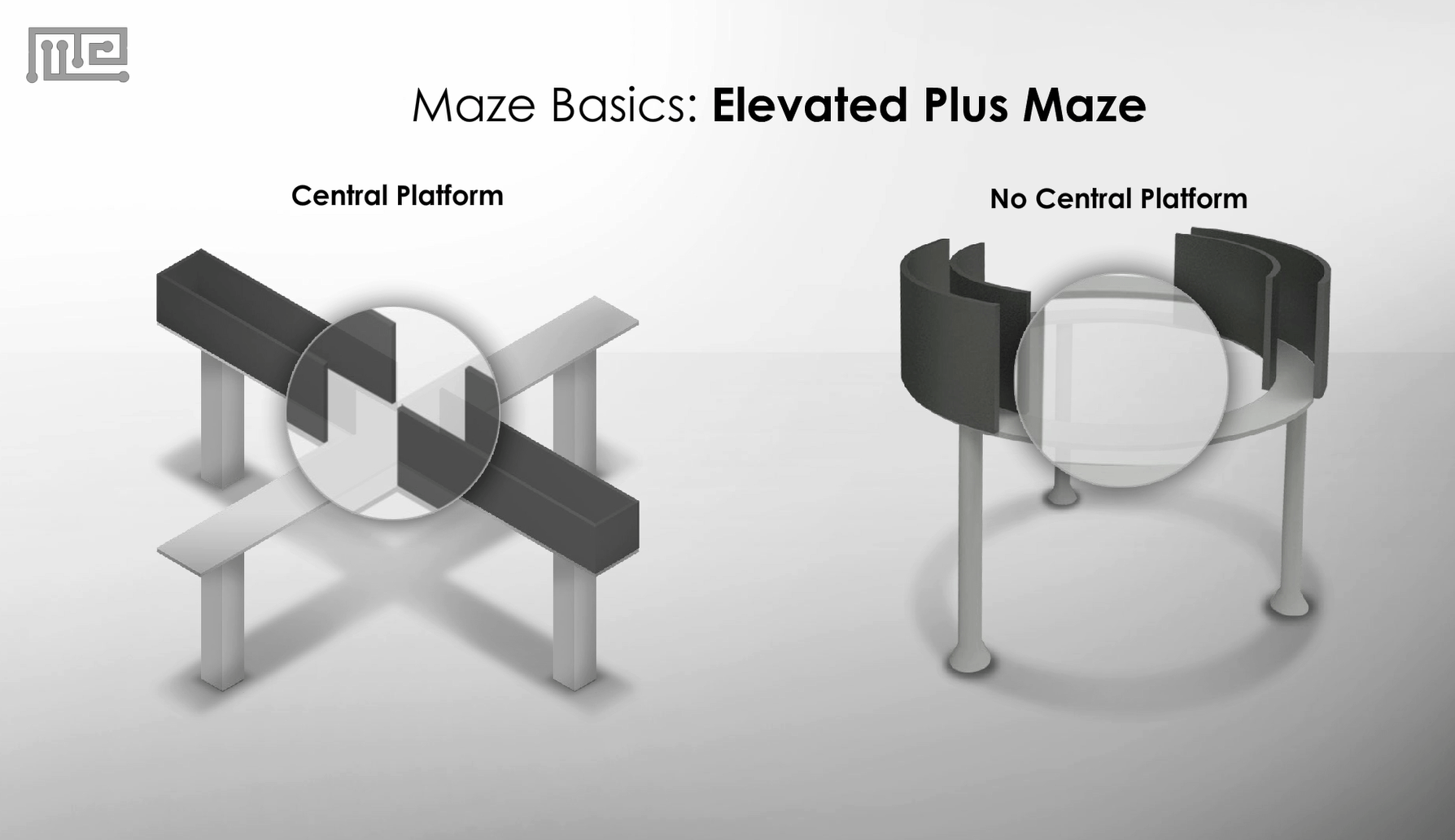 Elevated Plus Maze Apparatus and zero maze 2