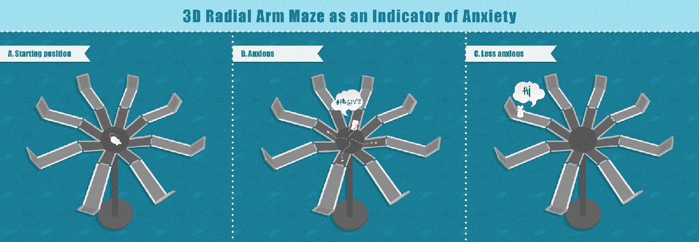 Anxiety 3d Radial