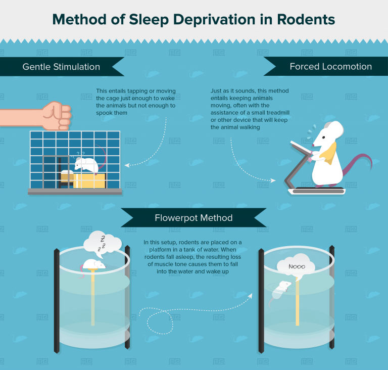 Rodent Sleep Pattern Sleep Models: Sleep Deprivation in Rodents - Maze Engineers
