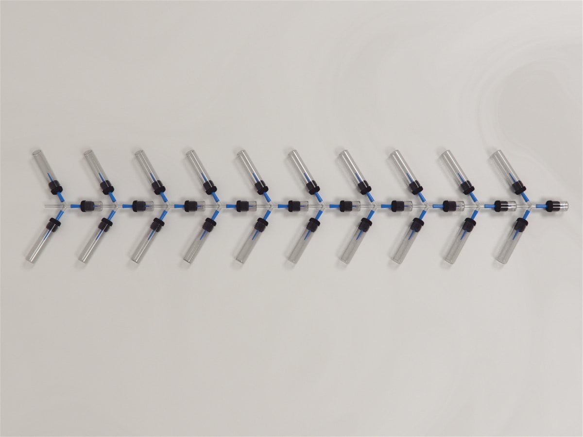 Drosophila Y Maze