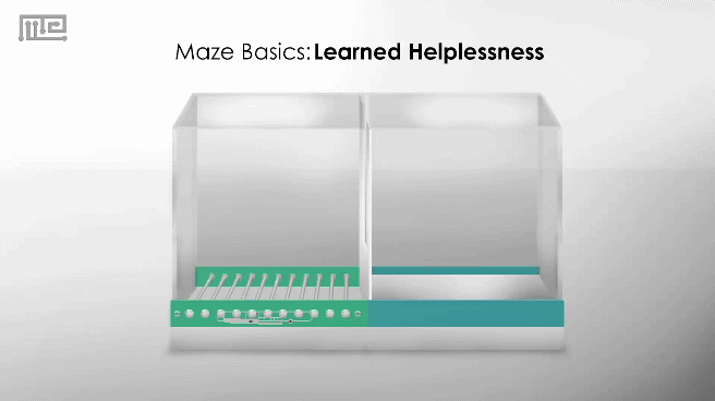 learned helplessness and depression