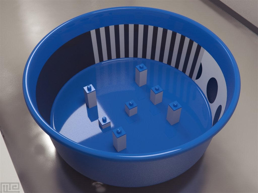 Open-field tower maze (OFTM) is a unique behavioral task in neuroscience used to examine the nature and mechanism of spatial learning and memory in rodents