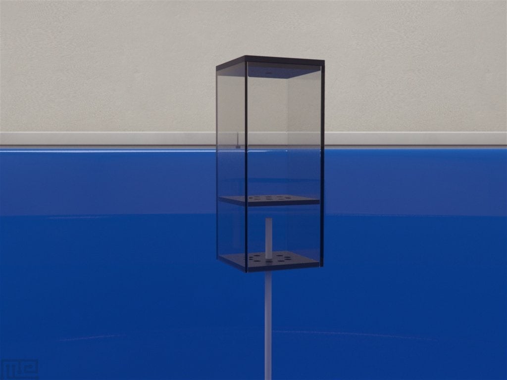 Morris Water Maze Release Device