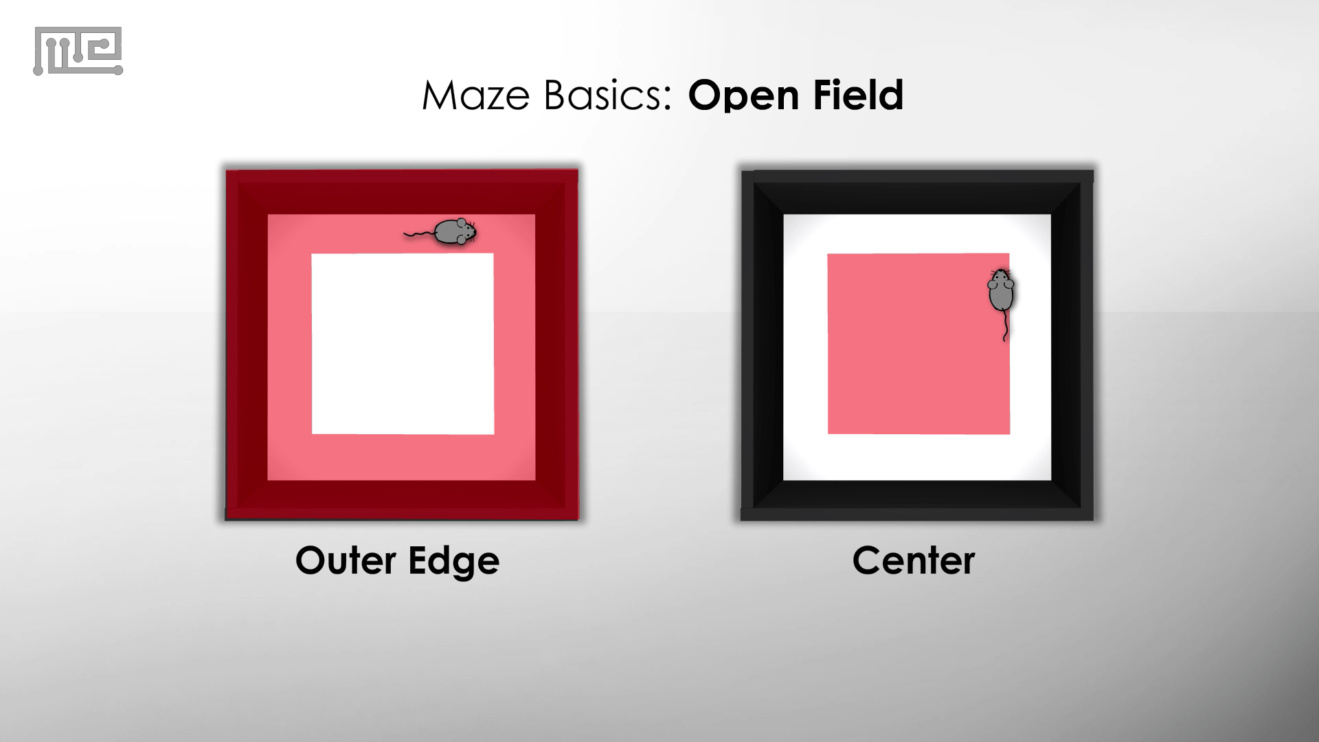 open field test anxiety