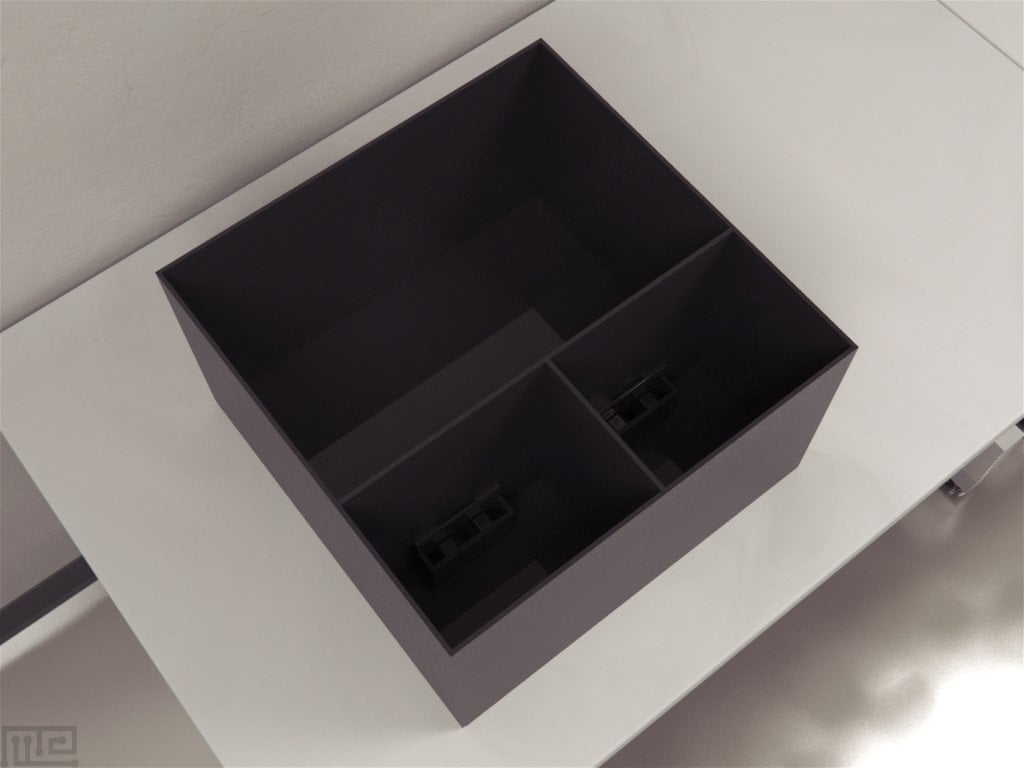 Social Reward Chamber serves as an inexpensive model for the investigation of social interactions and reward value