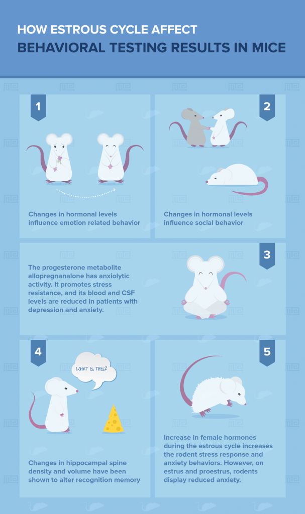 Can Estrous Cycle Affect Behavioral Test Results in Mice | Maze Engineers
