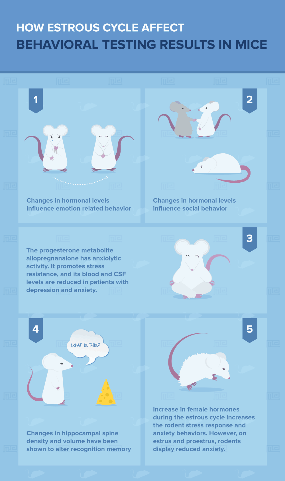 Can Reproductive Cycle Affect Behavioral Test Results