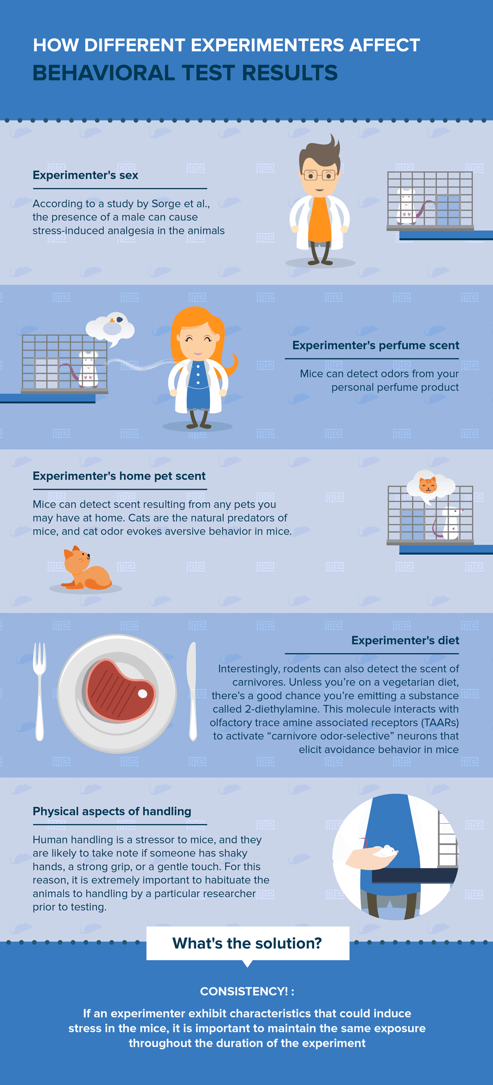 How different experimenters affect behavioral test results