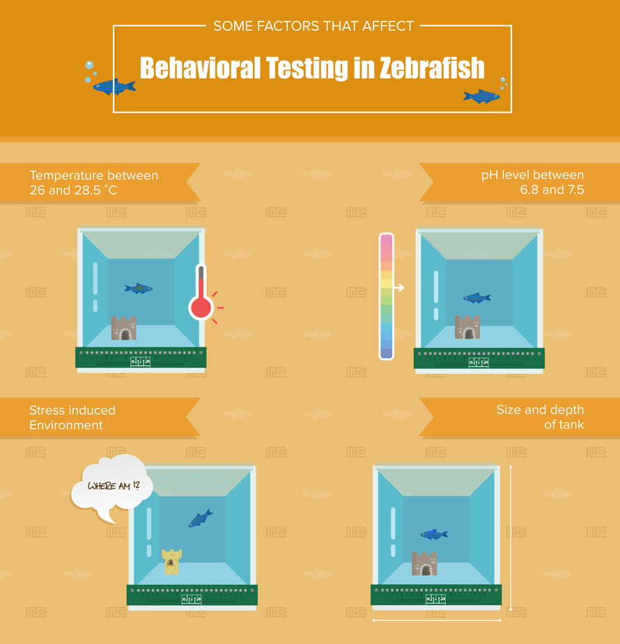 Zebrafish behavior testing