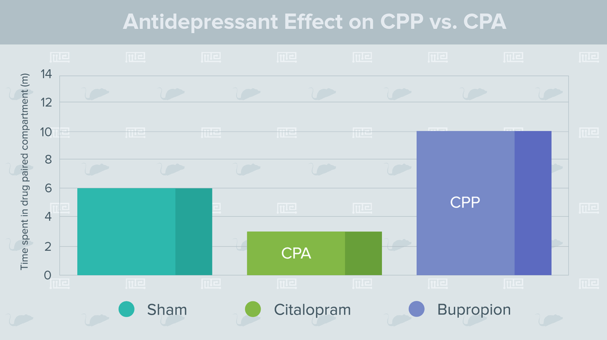 Conditioned Place Preference Test and Conditioned Place Aversion
