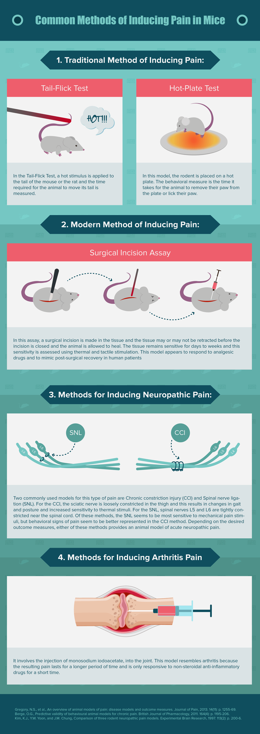 animal models of pain