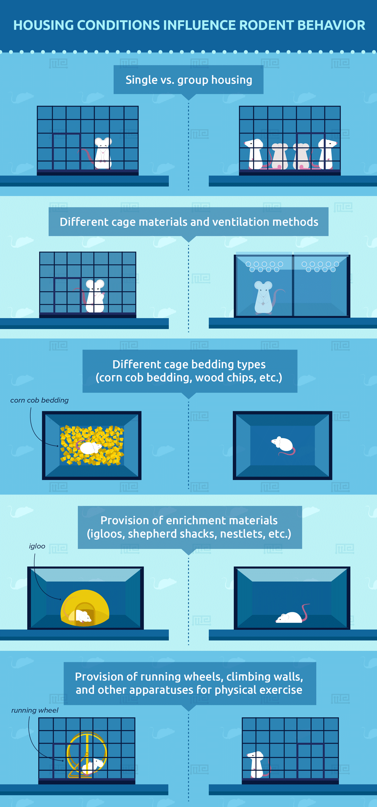 Housing Conditions Influence Rodent Behavior