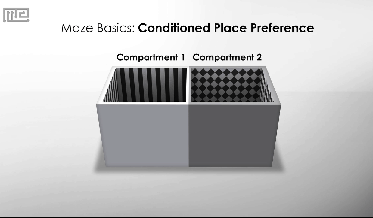 Place Preference Test