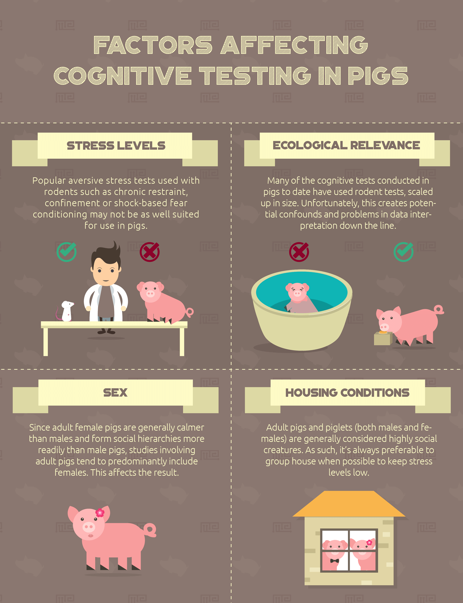Factors affecting cognitive testing in pigs