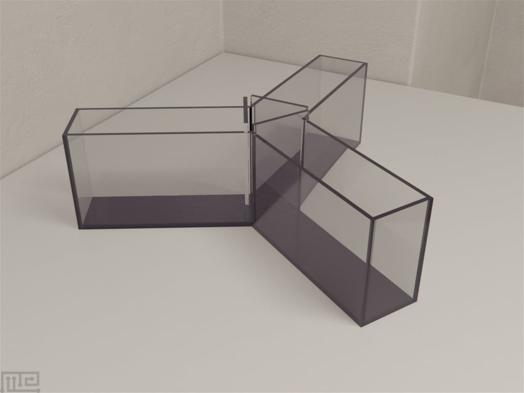 Zebrafish Y Maze, photo 1 of 7