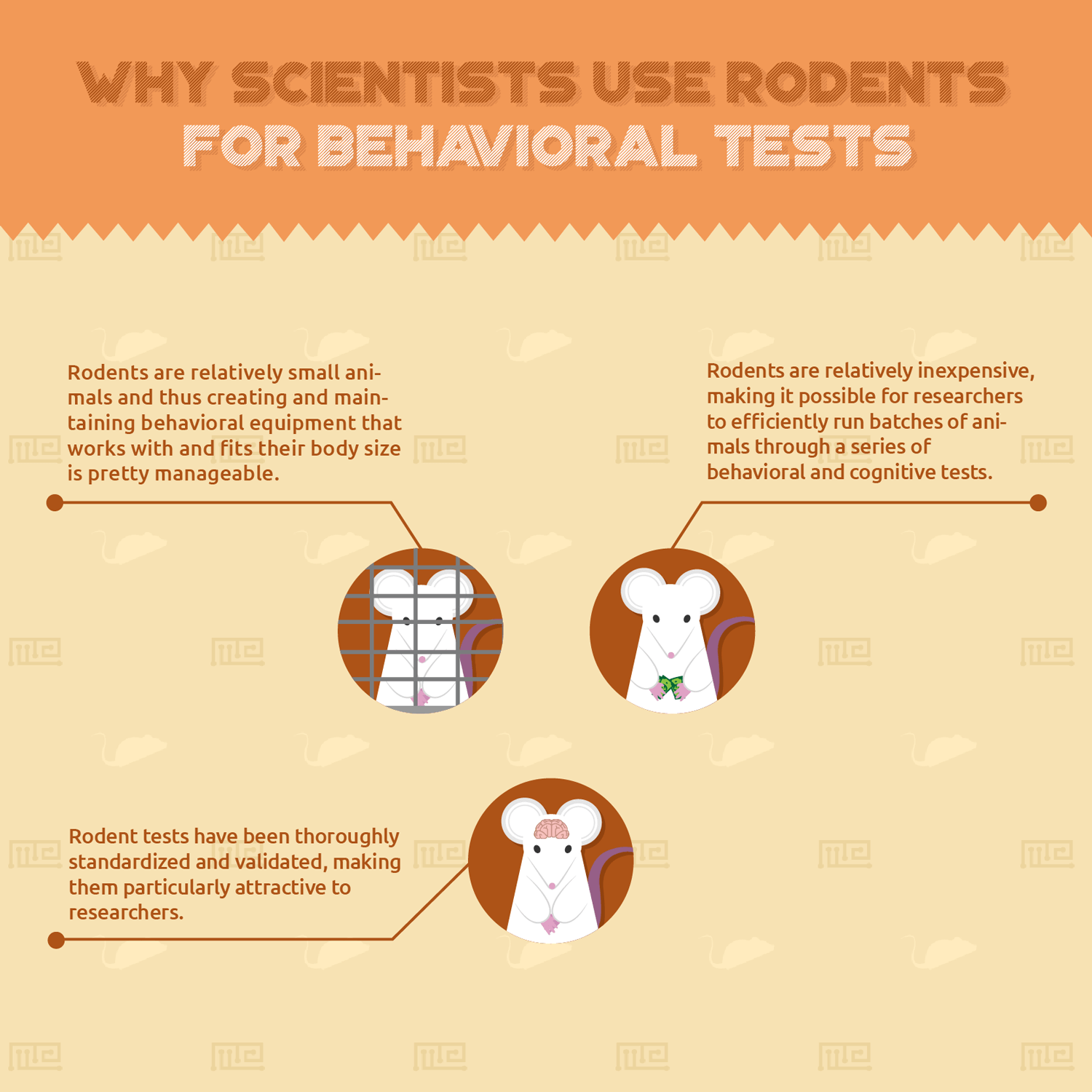 cognitive testing in pigs Why Scientists use Rodents for Behavioral Tests