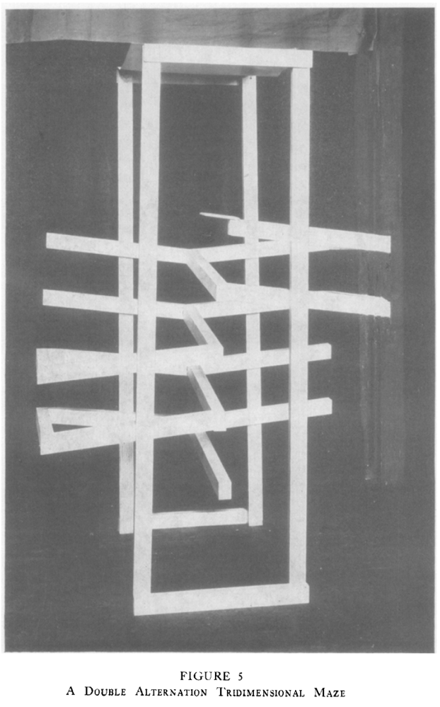 history of behavioral testing with maze- hunter's double alternation tridimensional maze