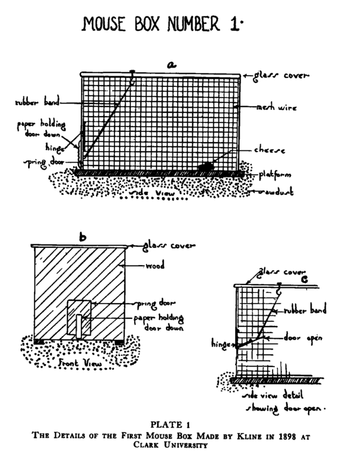 history of behavioral testing with maze mouse box