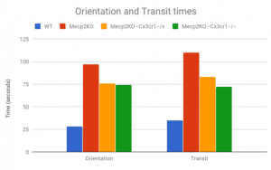 Static Rods Test - Maze Engineers