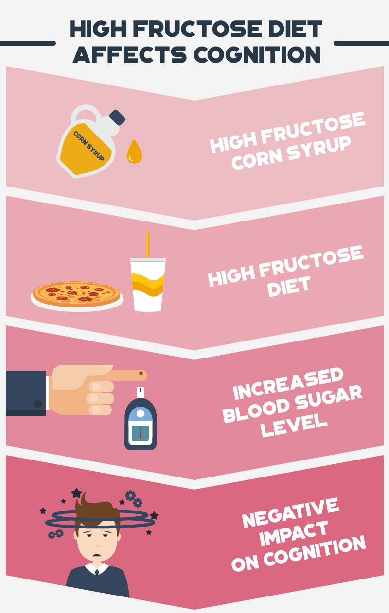 High Fructose Diet Affects Cognition