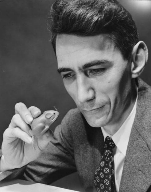 Claude Shannon and mouse in history of mazes
