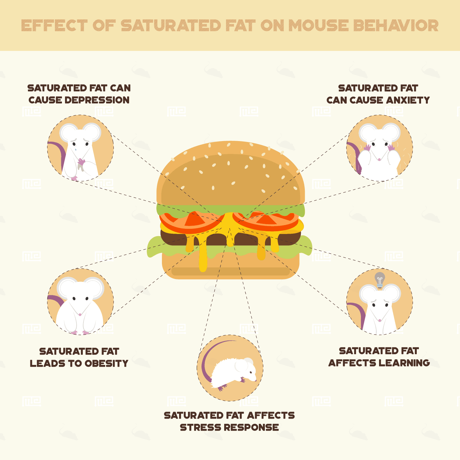 Effects of Saturated fat on Mouse Behavior