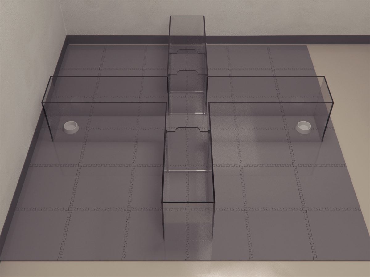 Pig T Maze is a clear plastic plus-shaped maze (essentially a double T-maze), positioned over textured black rubber mats