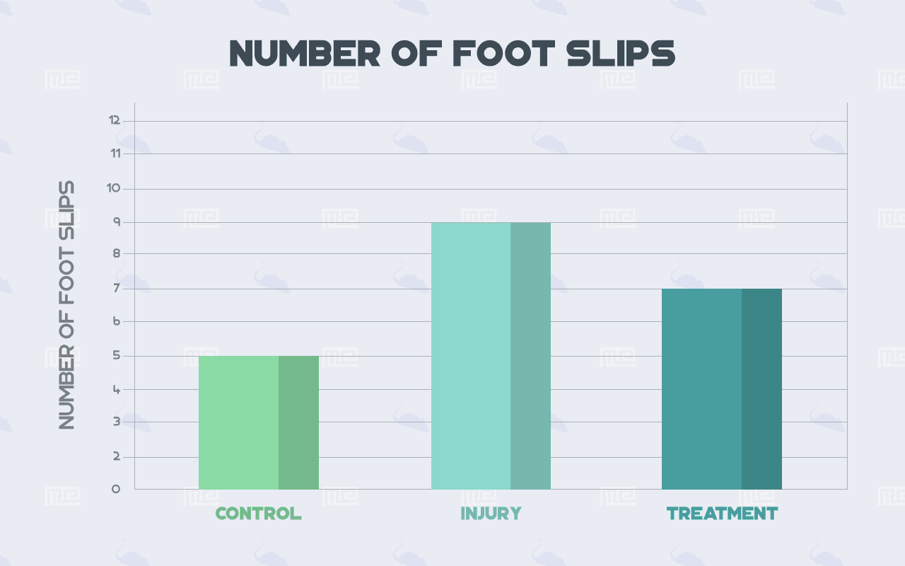 motor balance test number of Foot Slips
