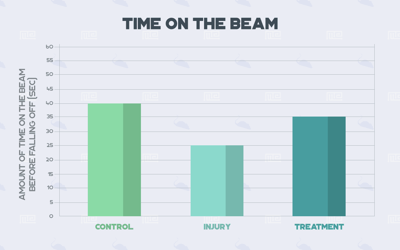 motor balance test time on balance beam