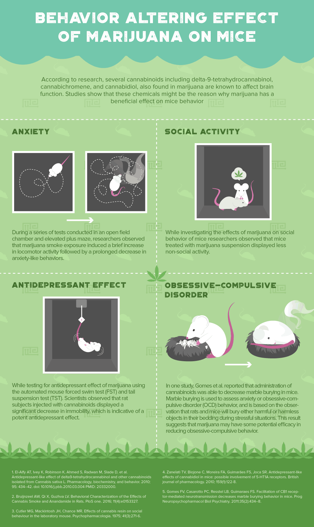 effect of marijuana on mice behavior