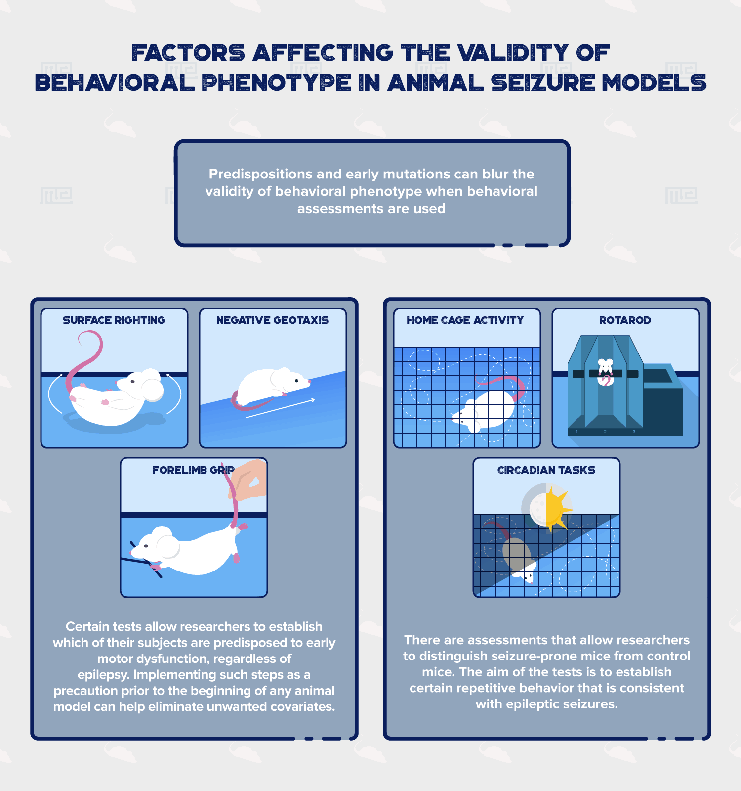 Factors Affecting the Validity of Behavioral Phenotype in mouse seizure models