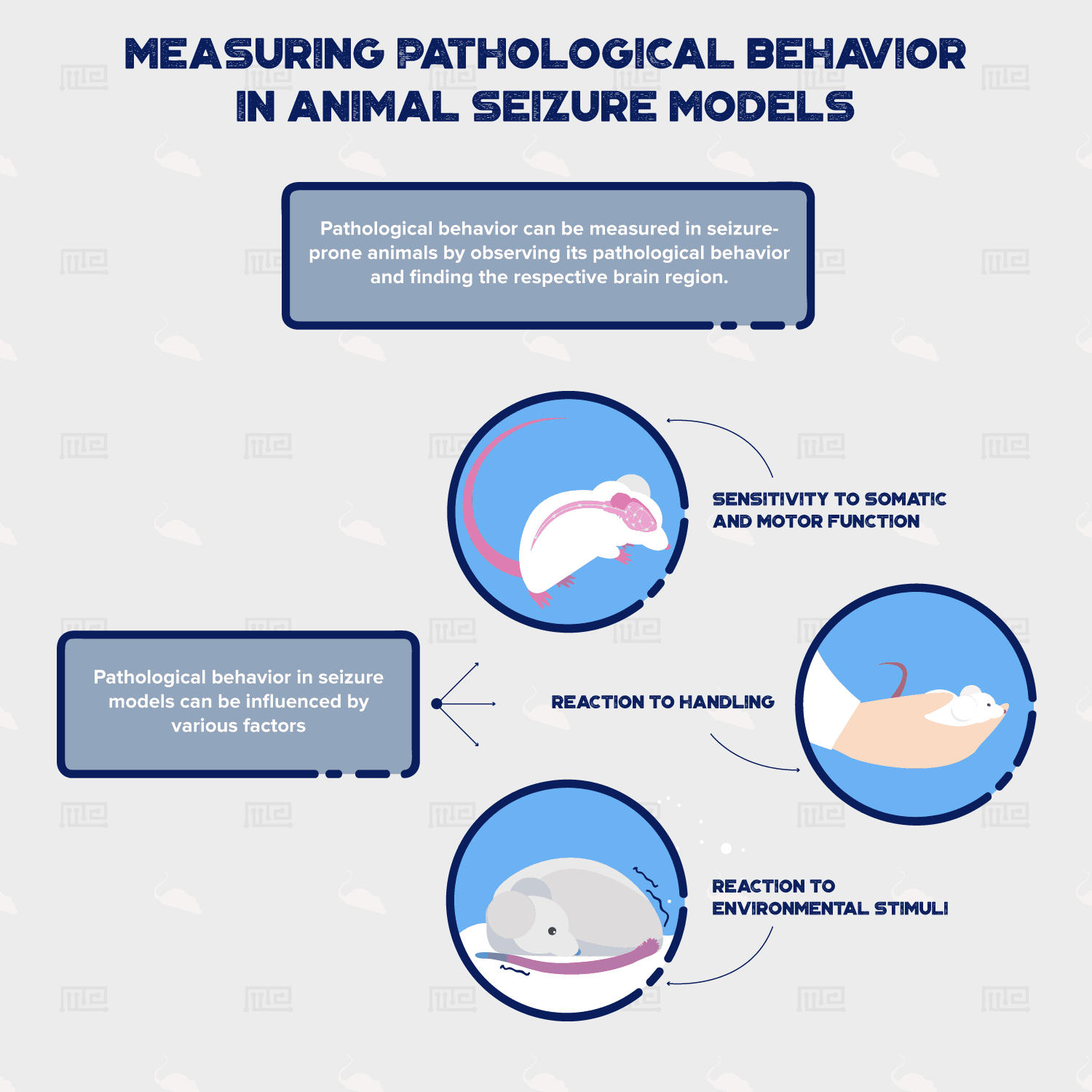 Measuring Pathological Behavior in Mouse Seizure Models