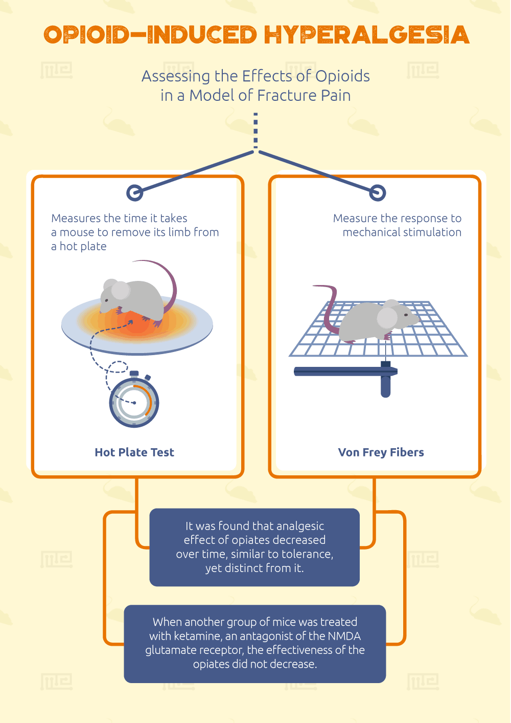 Opioid Induced Hyperalgesia