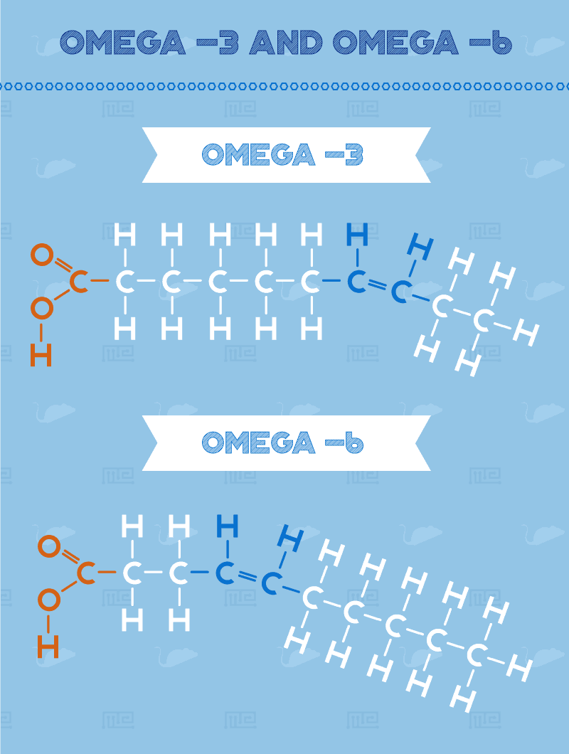 effect of fish oil on mouse behavior Omega--3-and-Omega--6