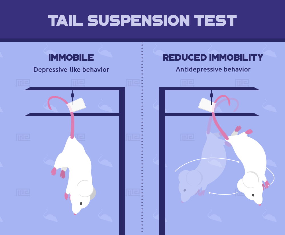 Tail Suspension Vitamin E Anxiety