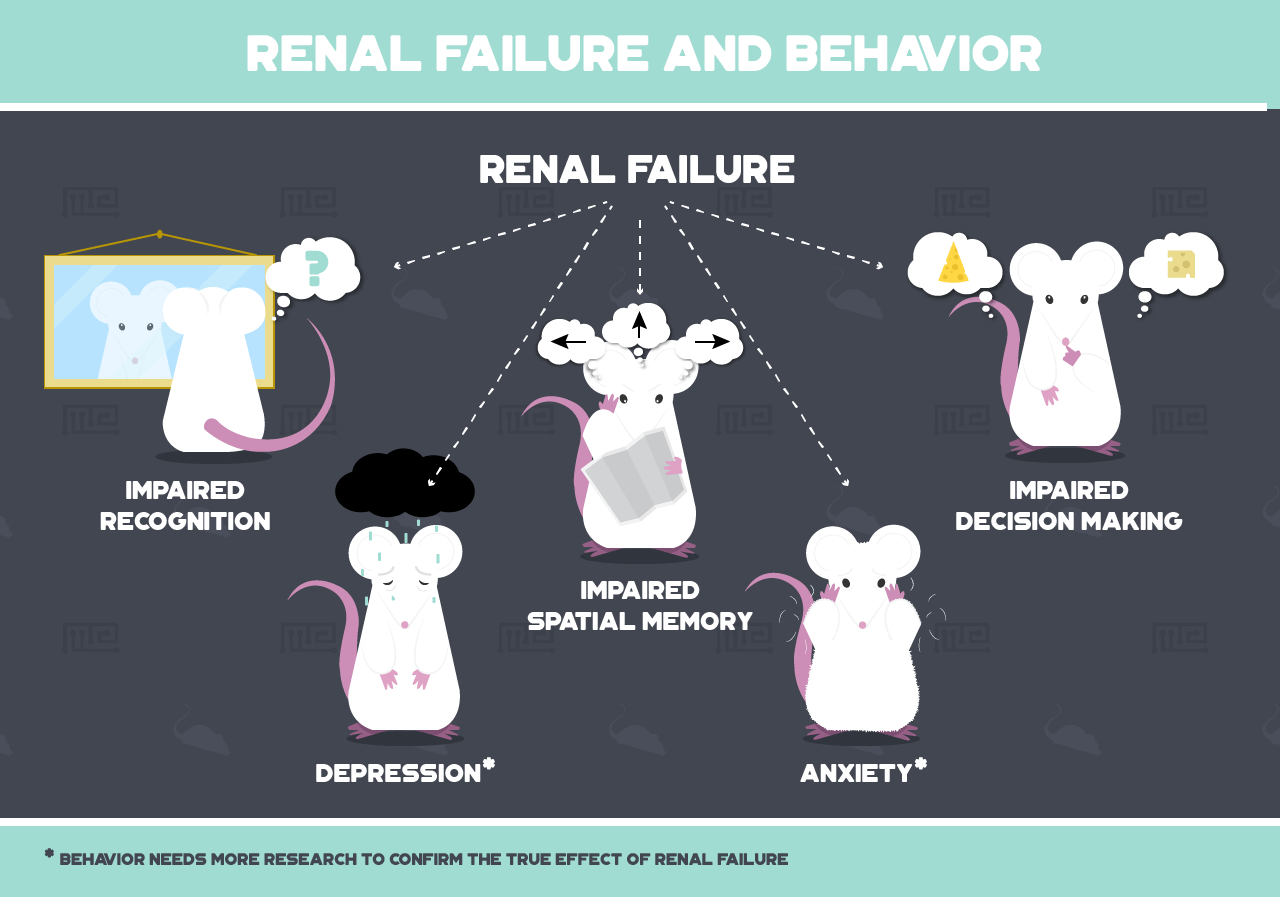 effects of renal failure on mouse behavior