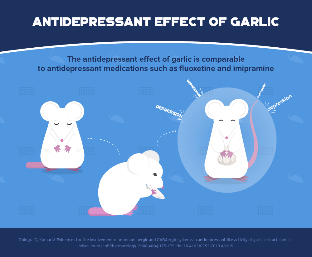 garlic antioxidant antidepressant effect