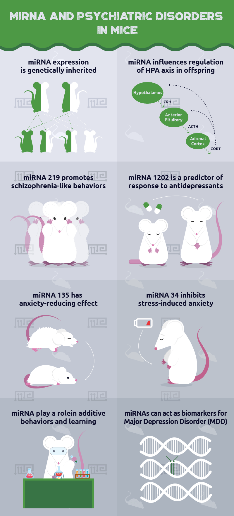 miRNA in psychiatric disorders